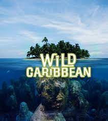 Дикая природа Карибских островов / Wild Caribbean – Rhythms of Life (2018)